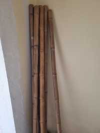 Canas bambu decoração