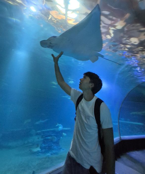 Korepetycje z matematyki – podstawówka i liceum