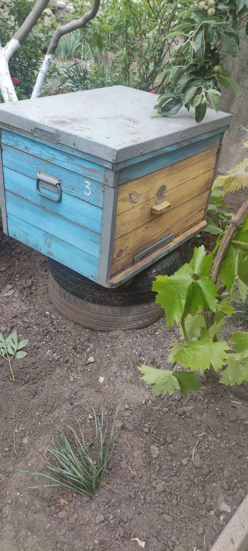 Продаю вулики для бджільництва