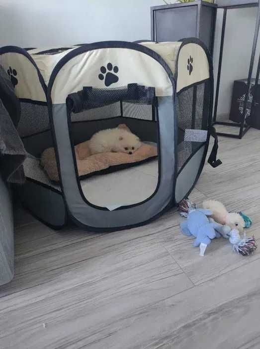 Składany Kojec dla Zwierząt – Mobilna Klatka dla Psów i Kotów HIT!