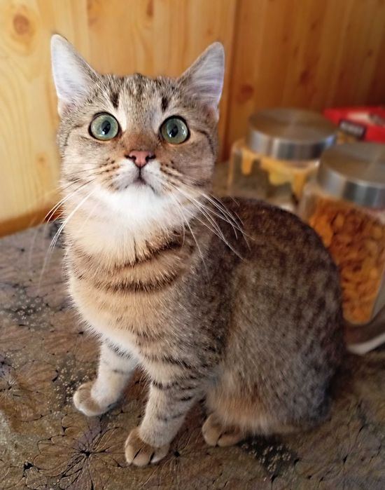 Agatek szuka Człowieka na zawsze - pomożesz :) ?