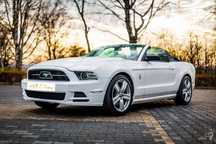 Mustang do ślubu Biały Ford Mustang Cabrio na Twój Ślub Wynajem