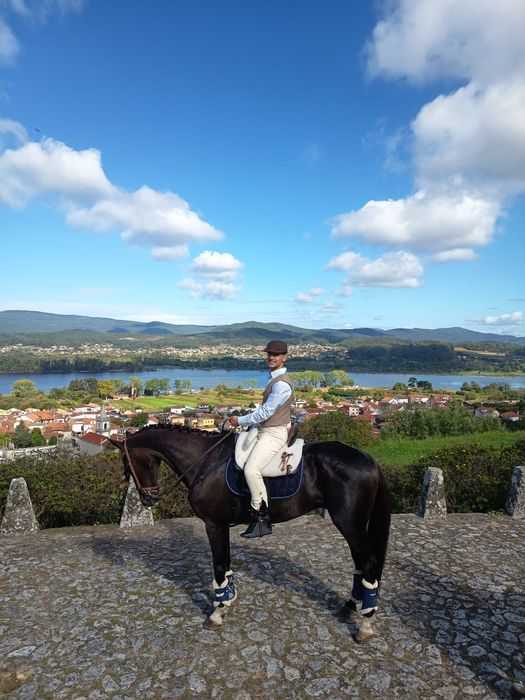 Vendo cavalo cruzado