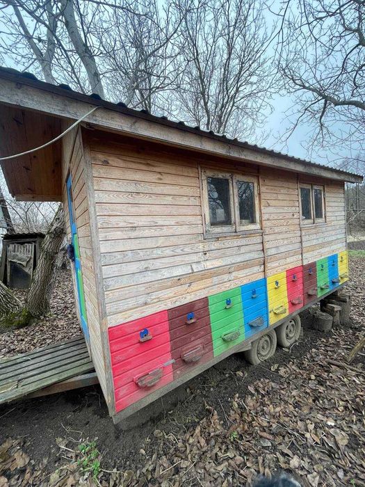 Апідомік на колесах