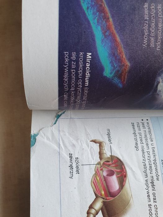 Biologia na czasie 3