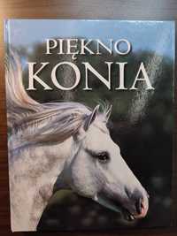 Książka album "Piękno konia"