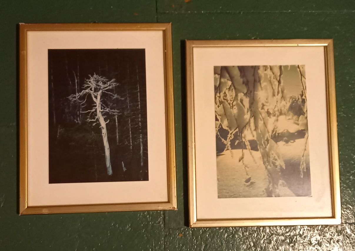 Dwa obrazki zimowe zima przyroda drzewa abstrakcja rama srebrna