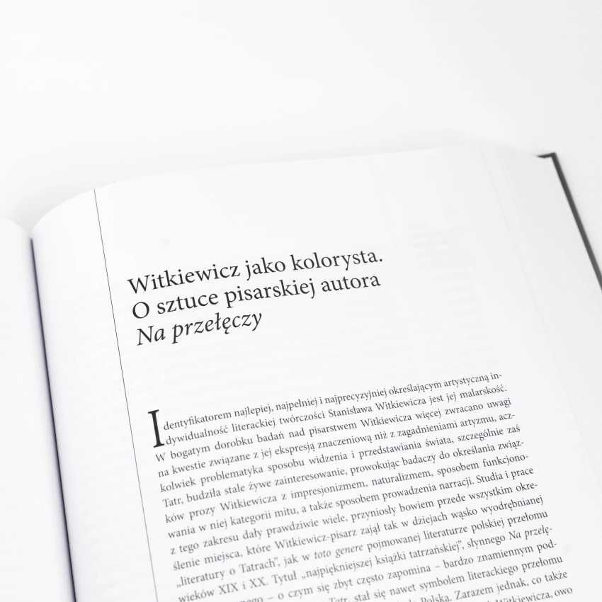 Literatura i Tatry. Studia i szkice