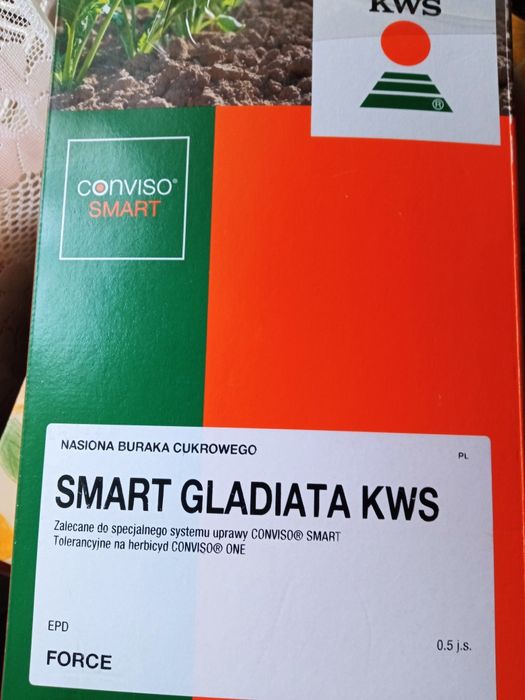 Burak cukrowy Smart Gladiata KWS