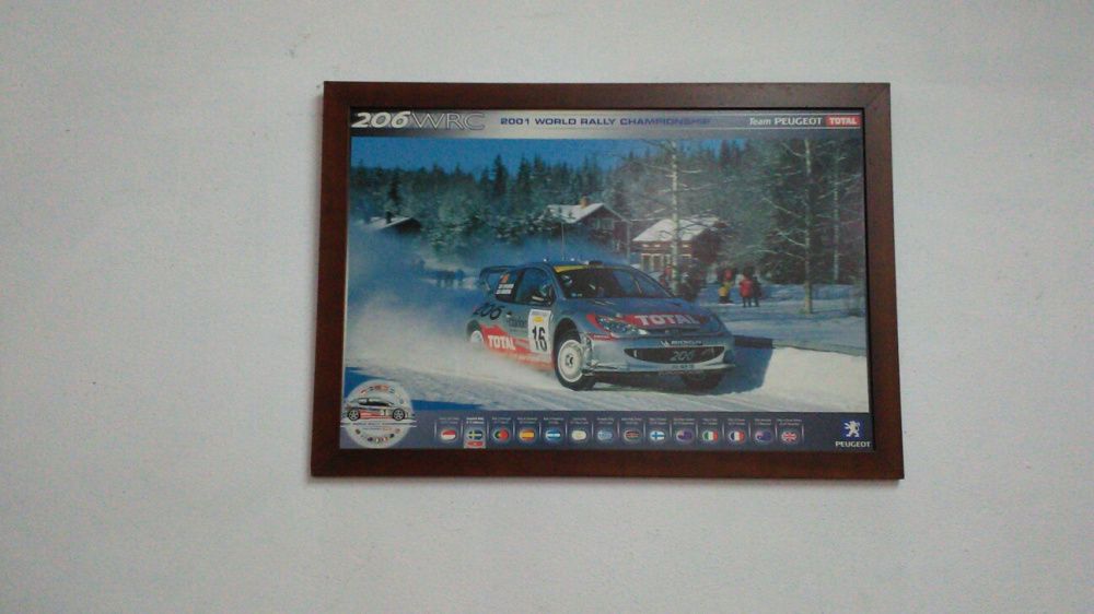 Quadro peugeot 206 wrc