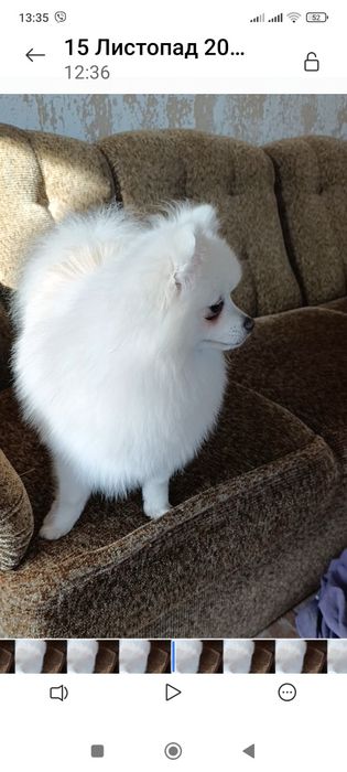 Підрощена дівчинка