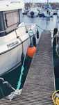 Barco quicksilver