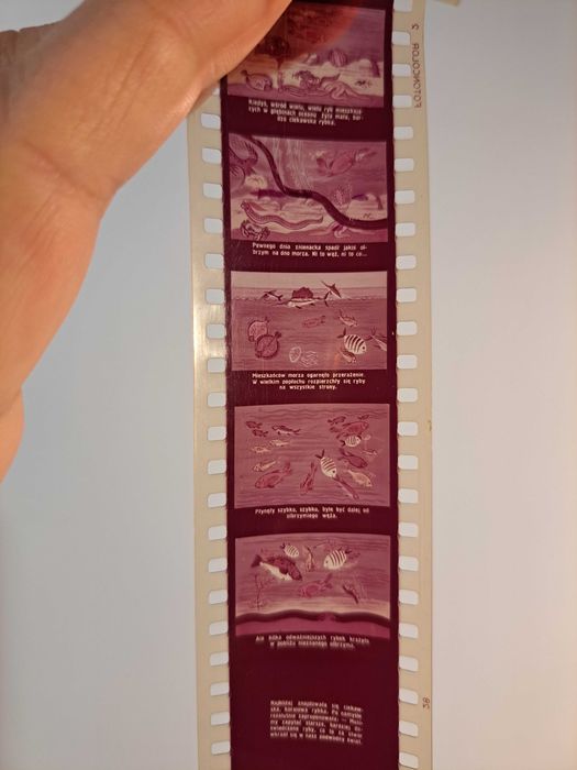 Zestaw (A) bajki na rzutnik projektor diaskop PRL