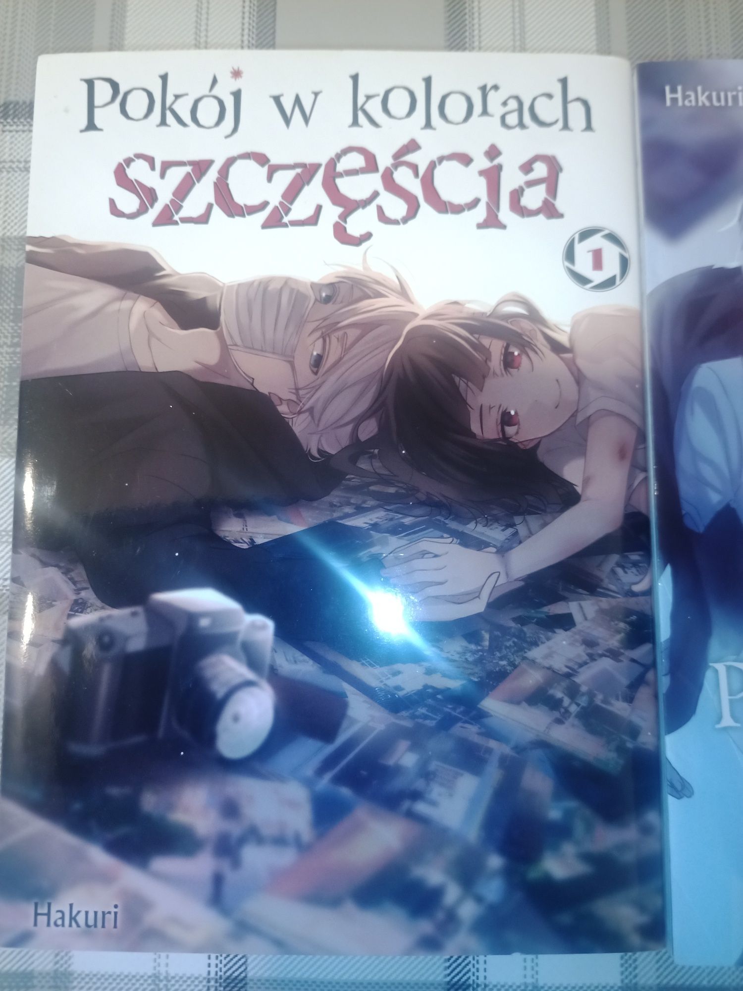 Manga Pokój w kolorach szczęścia