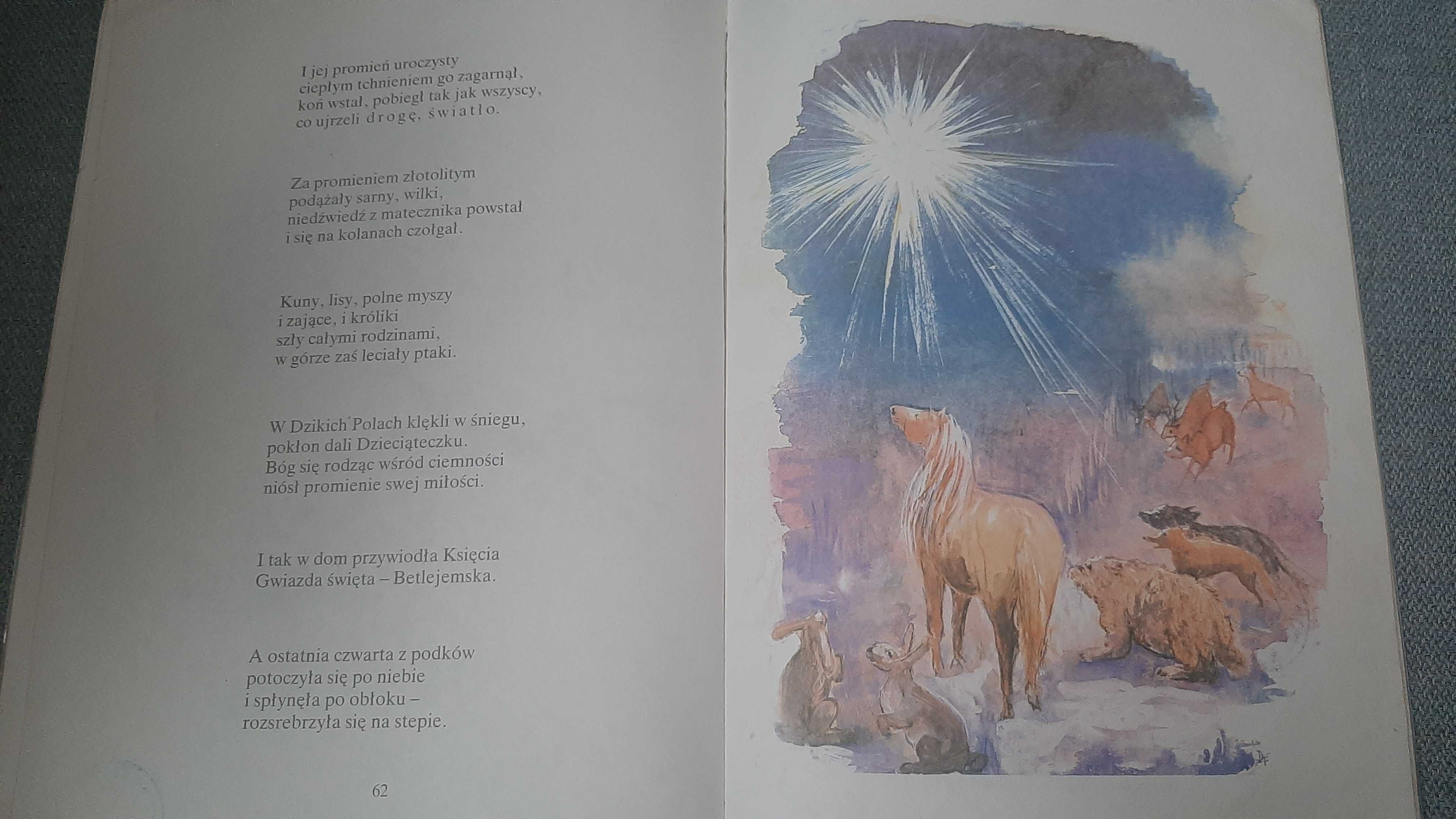 BAŚŃ O STEPOWYM KSIĘCIU Konikach koń Konstancja Rostworowska Morawska