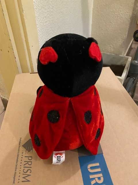 Peluches pequenos vários (Cão-Urso-Ovelha-Joaninha) novos