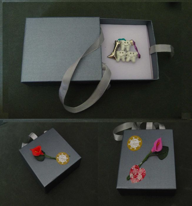 Alfinete / Broche / Pregadeira Dentes Saudaveis NOVO