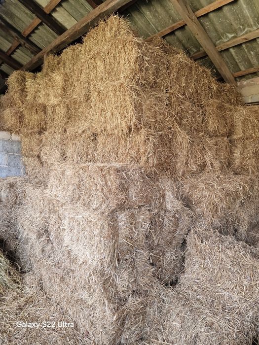 Sloma że stodoly / kostka /słoma /siano
