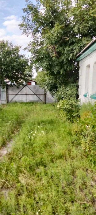 Продаж будинку в с.Феневичі Вишгородський р-н.