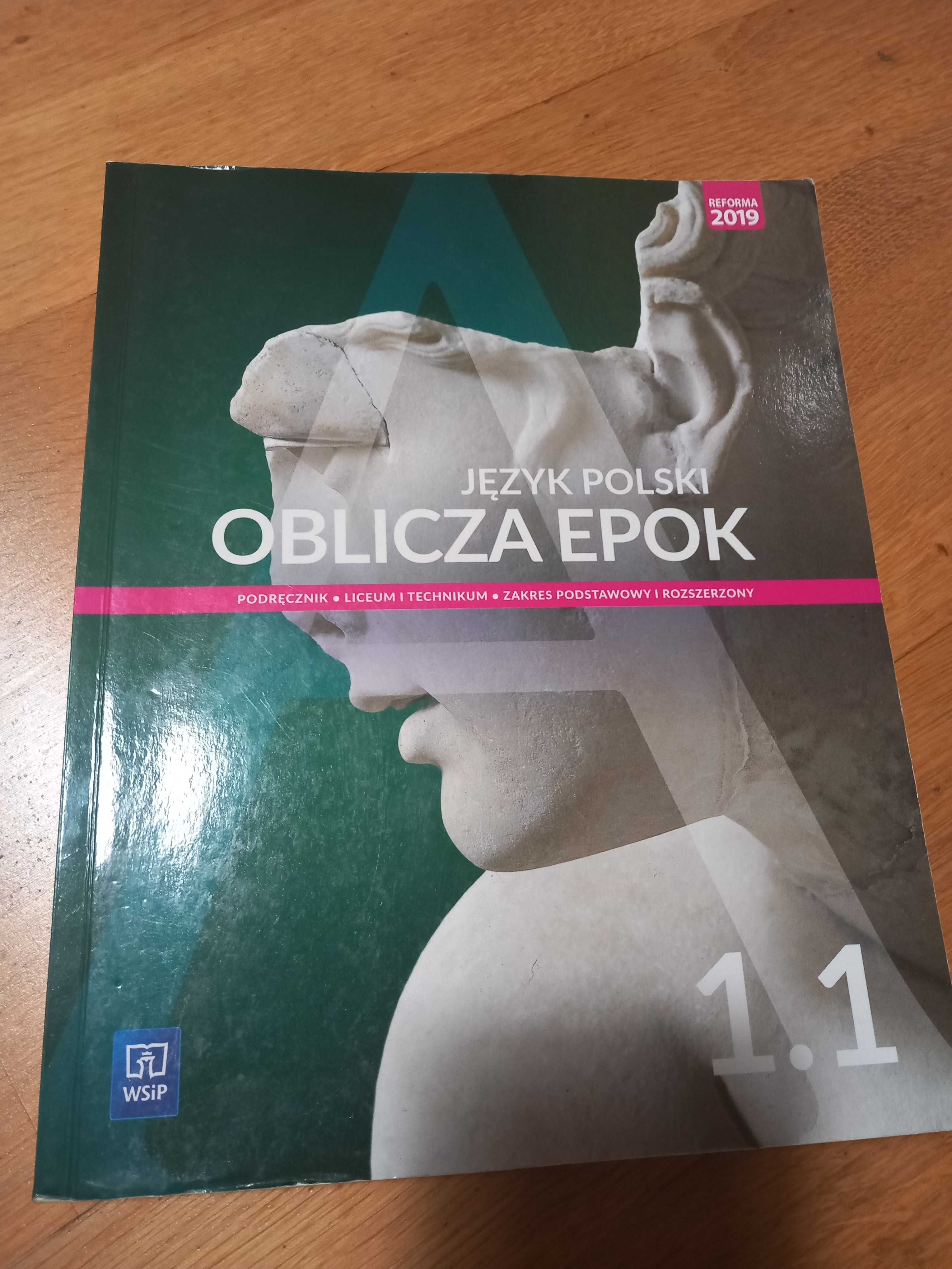 Podręcznik do języka polskiego Oblicza Epok 1.1 (WSiP)