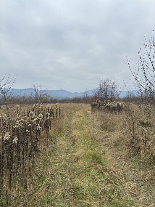 Продається земельна ділянка 15 соток у місті Тячів