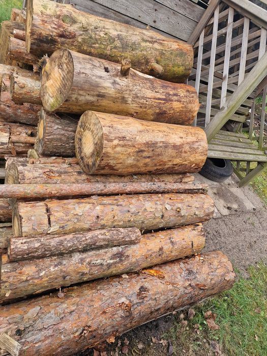 Drewno drzewo sosnowe grube bale