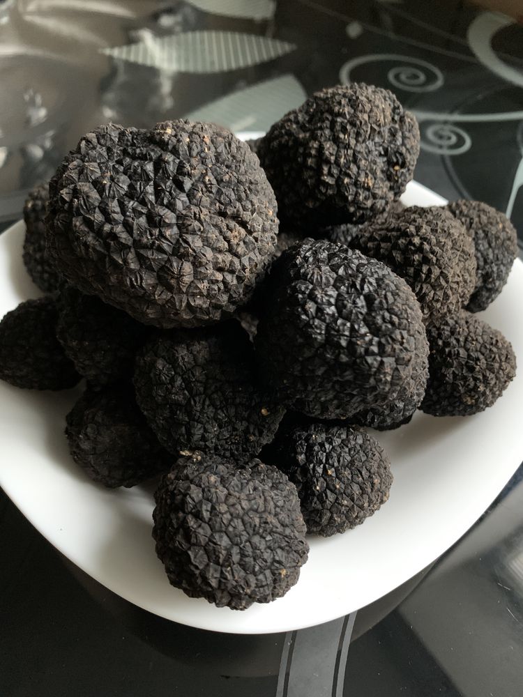 Трюфель чорний Tuber Tartufo Aestivum Італія завжди в наявності свіжий