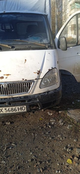 Газель на хаду ...