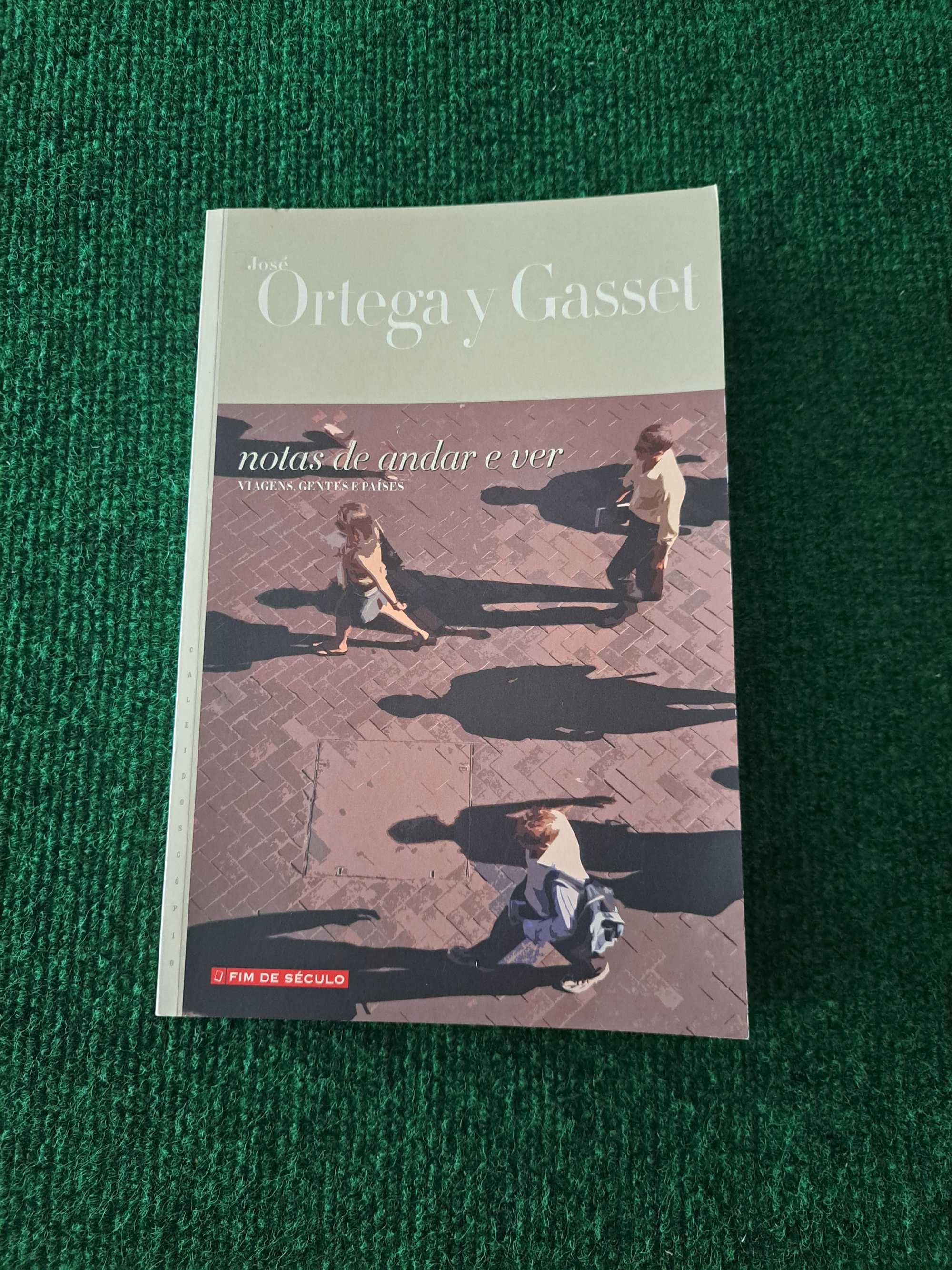 Notas de andar e ver - Ortega y Gasset