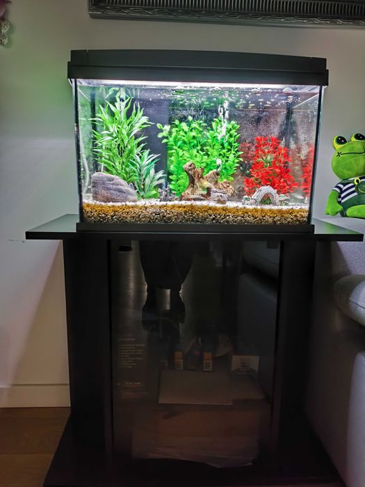 Akwarium z szafka