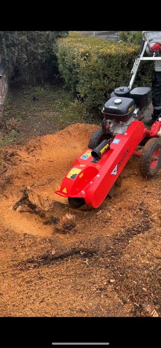 Зрізати дерево, кронування, санітарна обрізка дерева