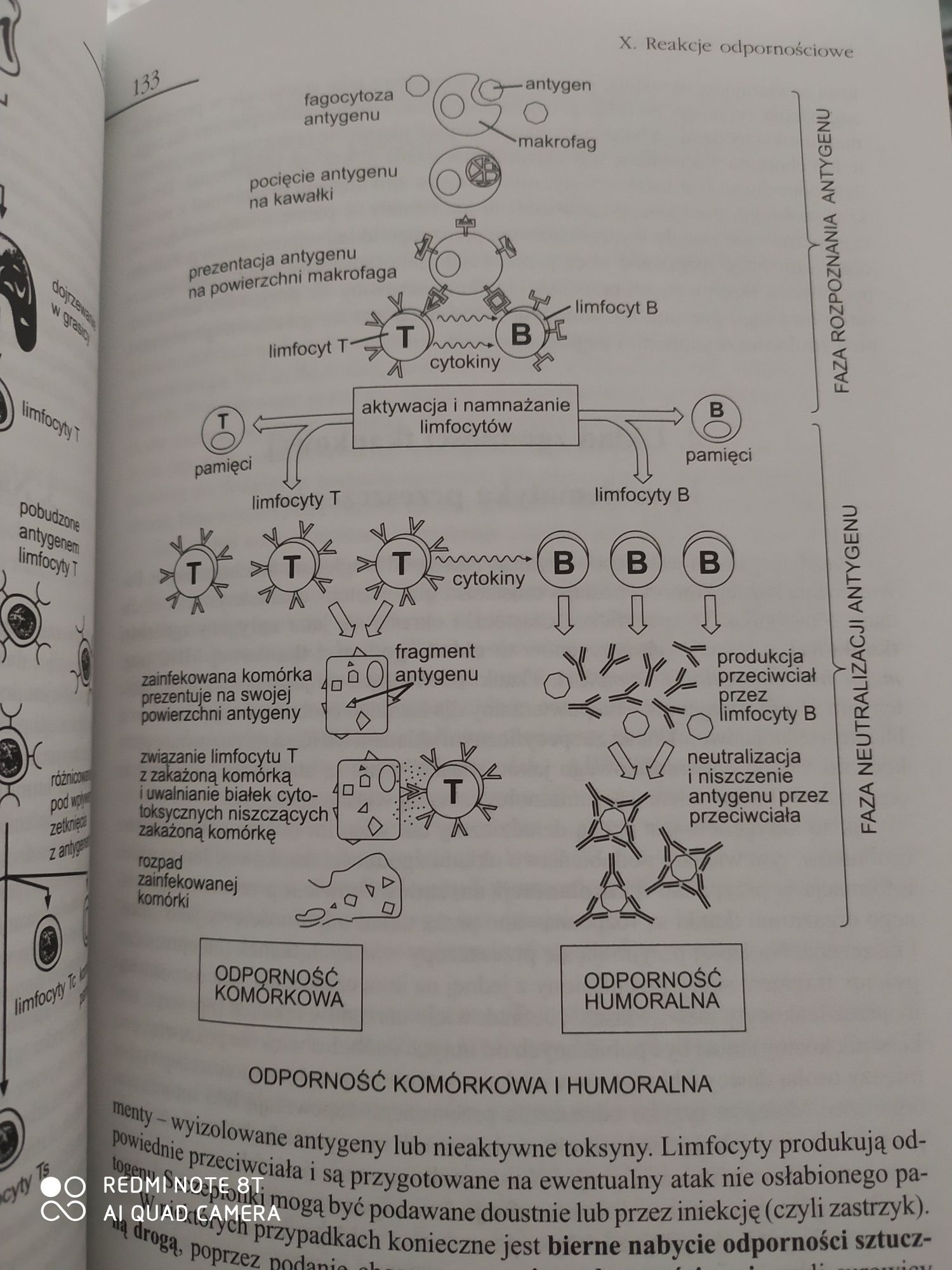 Vademecum maturzysty Biologia