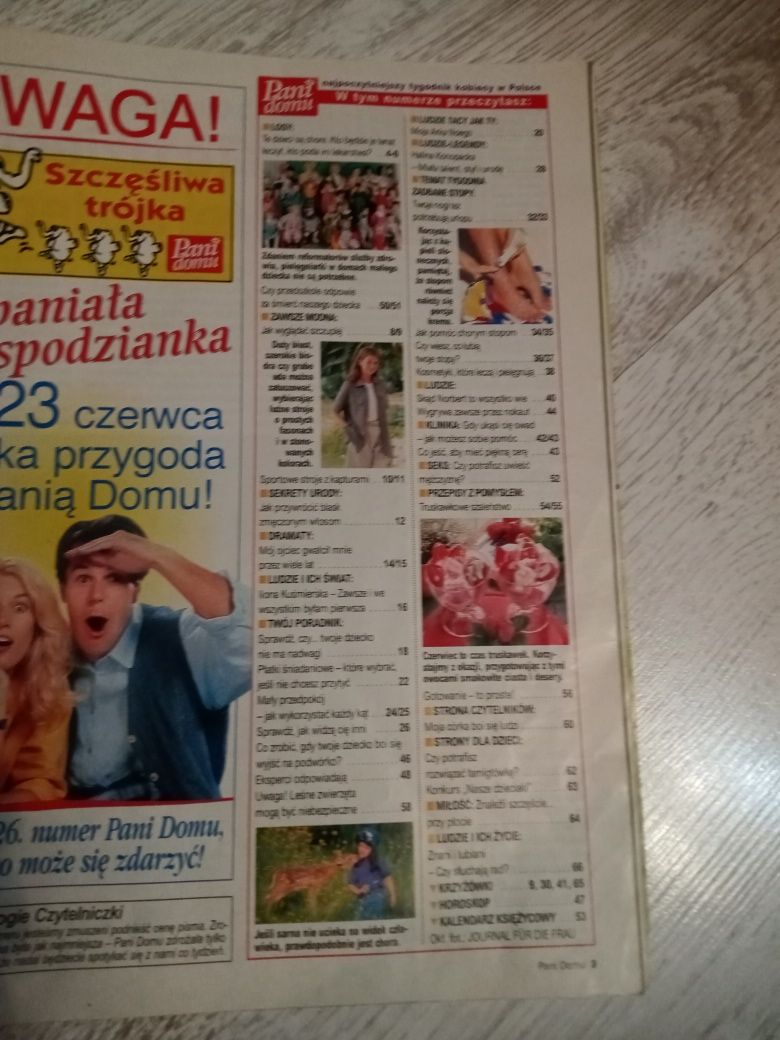 Czasopismo Pani Domu 1999 r.