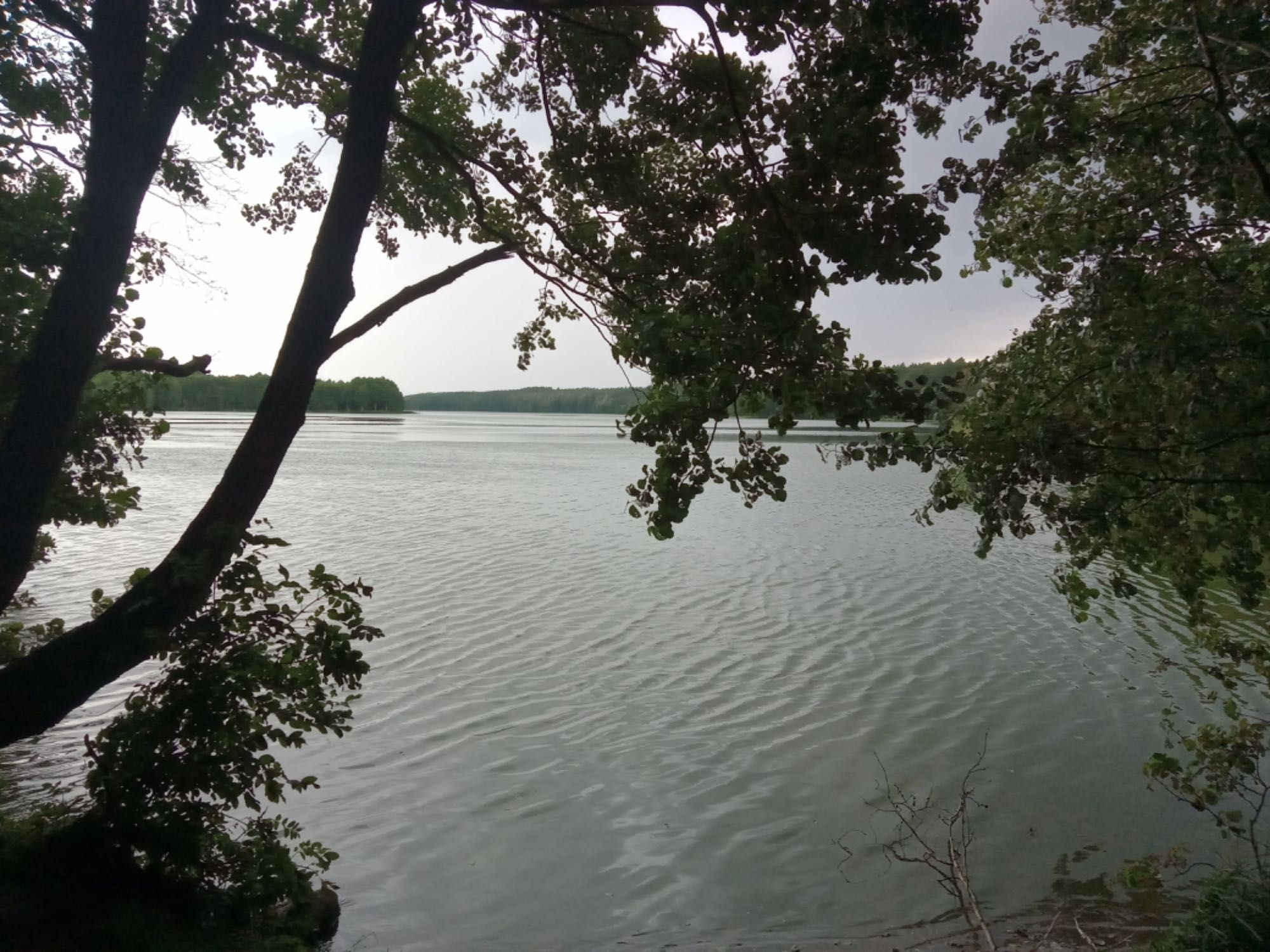 Domek nad jeziorem w otoczeniu lasów na Kaszubach