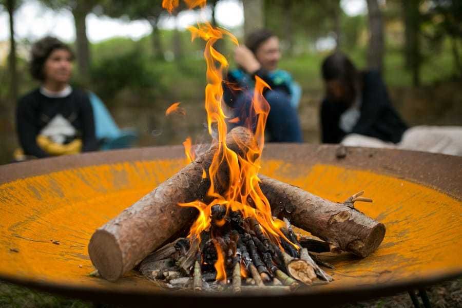 Lenha de Pinheiro Manso