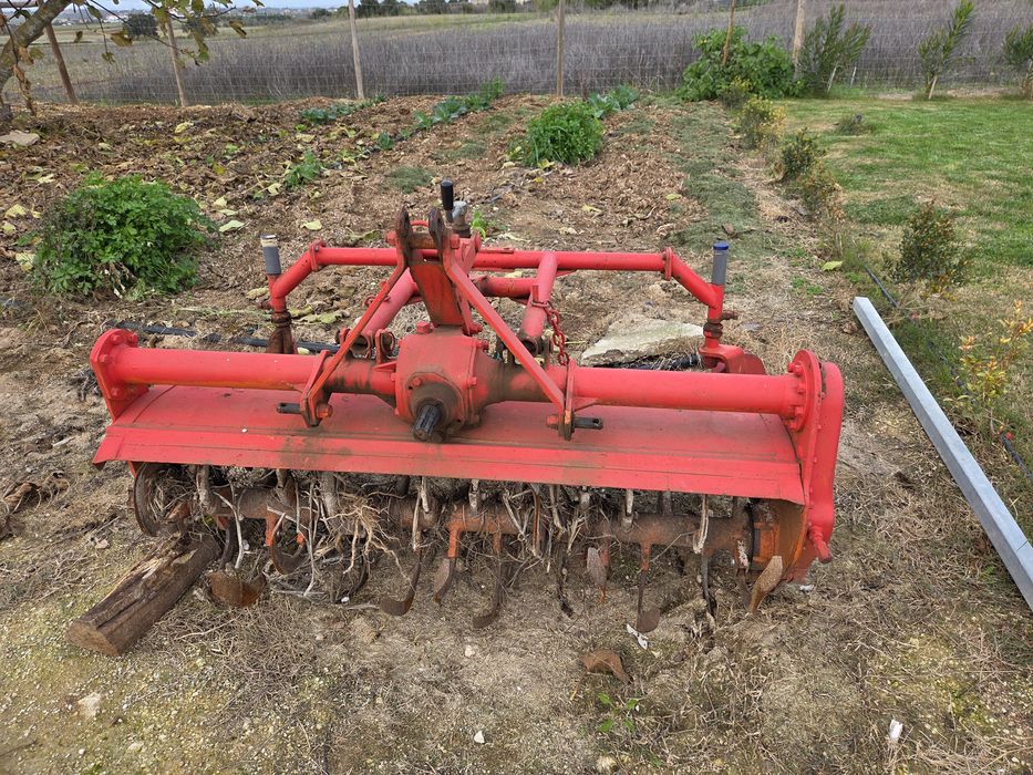 Frese em bom estado  De 1.5 m
