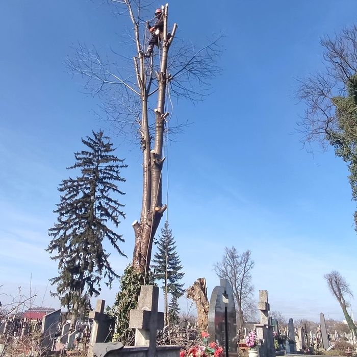 Пропоную послуги з видалення, вирізки, вирубки, валки аварійних  дерев