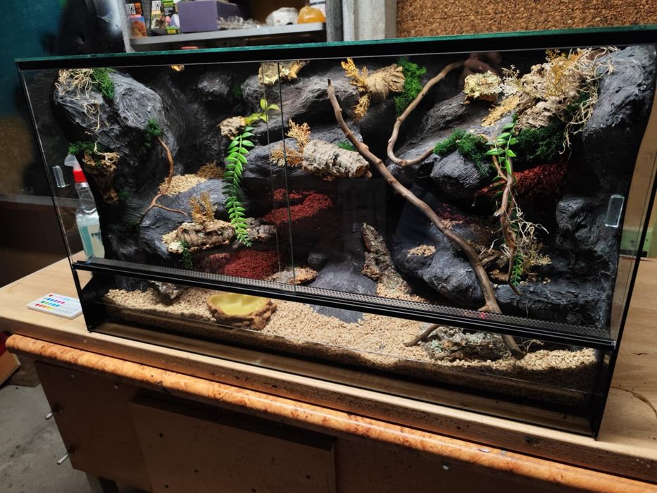 Terrarium 80x40x45