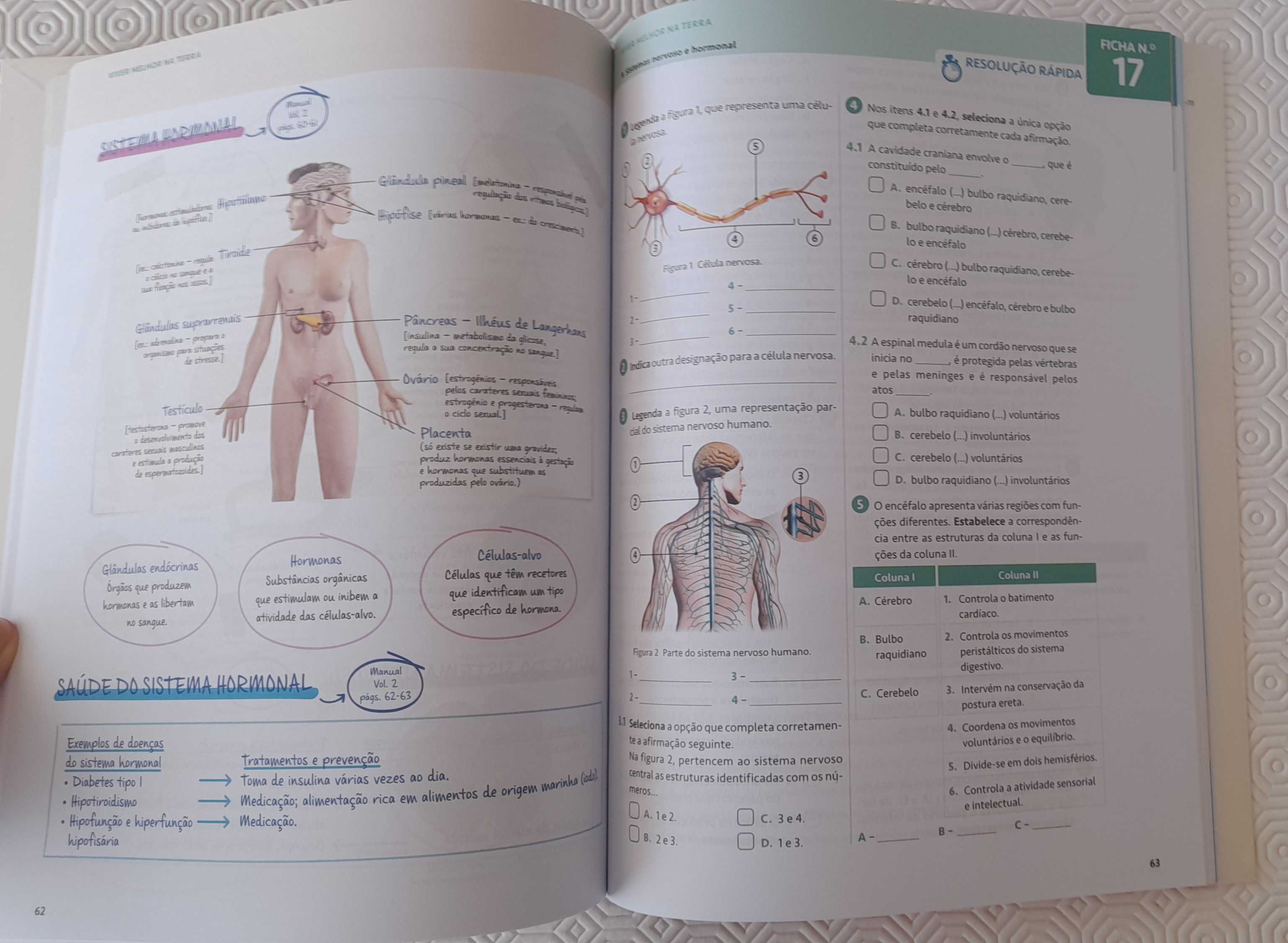 Caderno atividades 9º ano Ciências Naturais