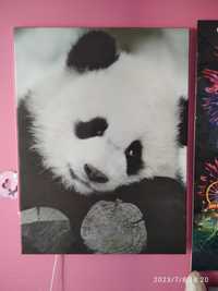 Obraz na płótnie panda.