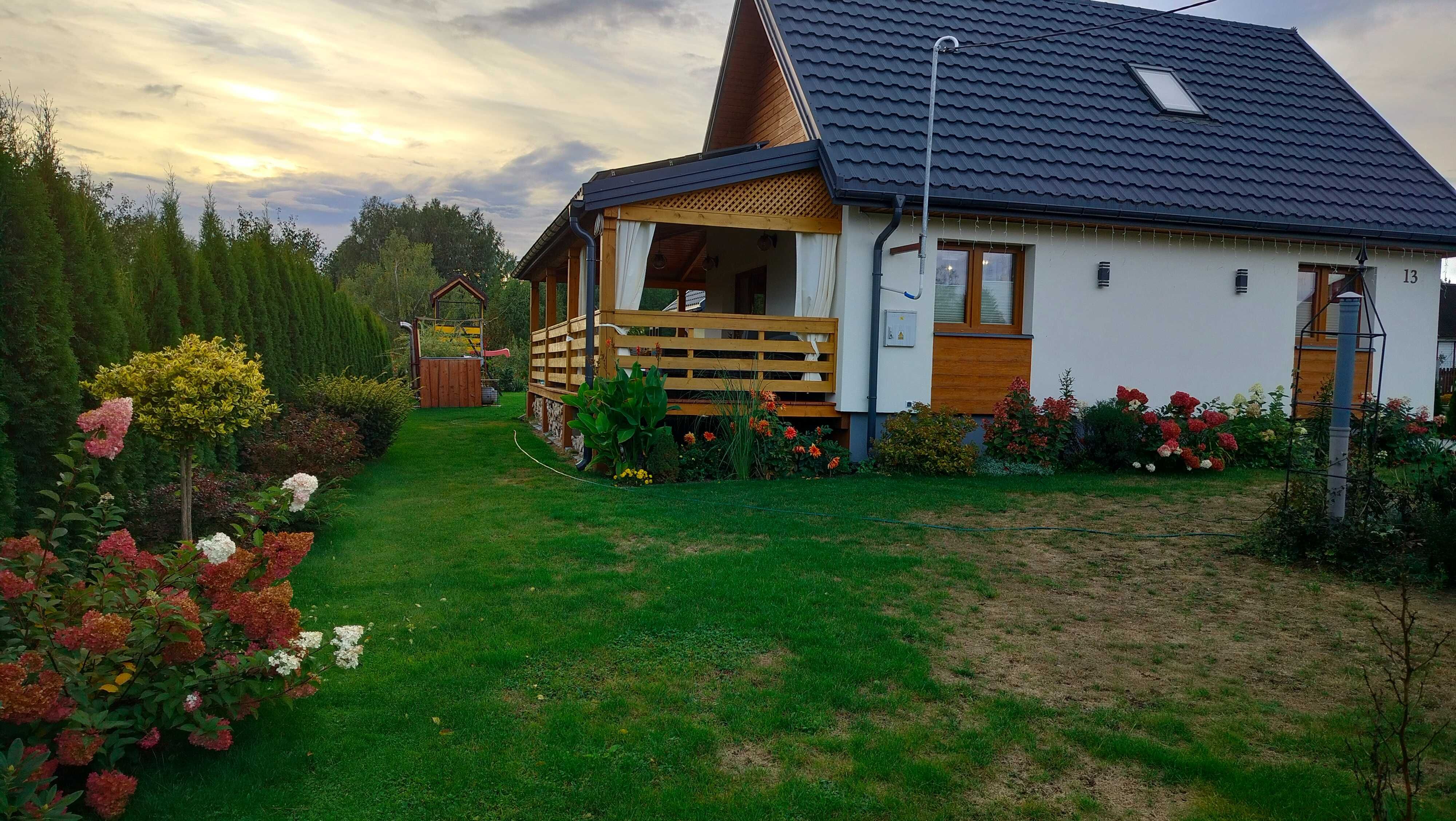 Agroturystyka, wynajmę dom na skraju Puszczy Białowieskiej, camping