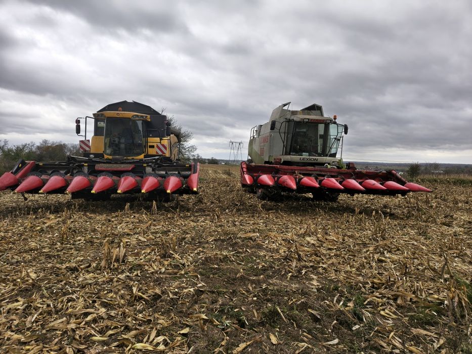 Usługa zbioru kukurydzy na ziarno