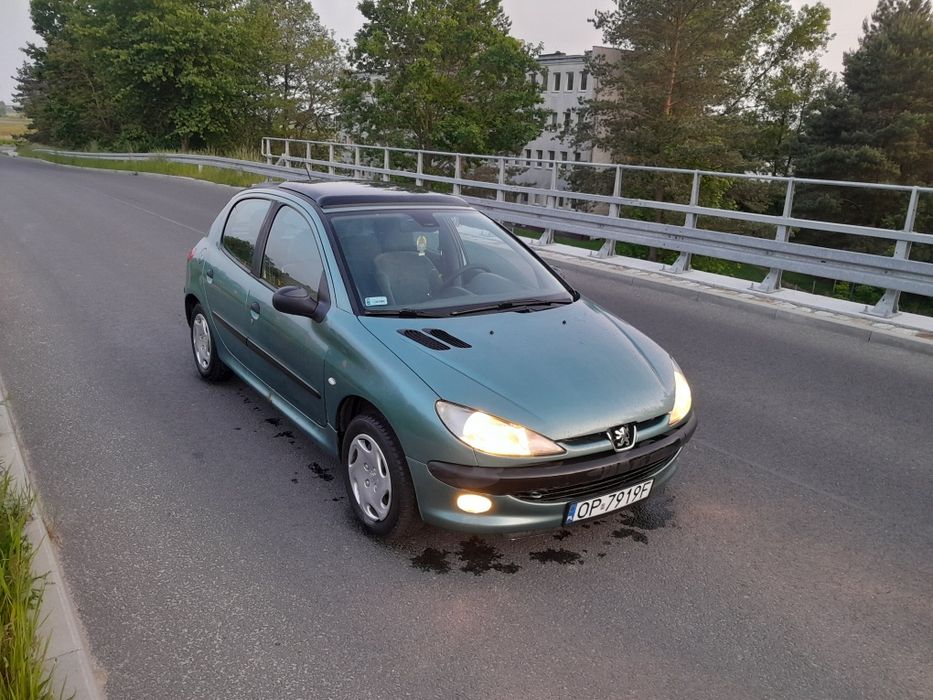 Peugeot 206. Opłaty na rok