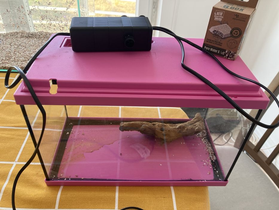 Aquário Pequeno Cor de Rosa