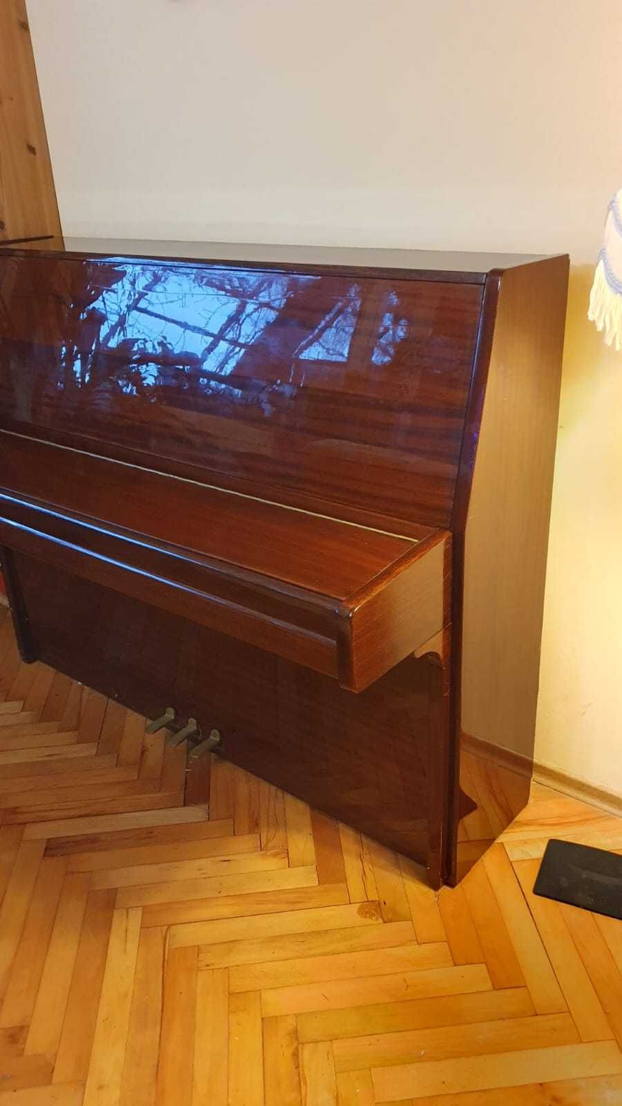 Pianino Riga tanio