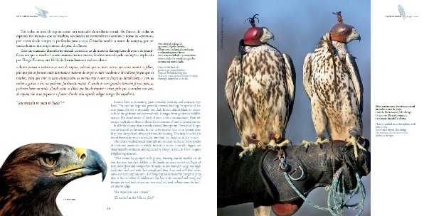 Livro completo : "Falcoaria Arte Real" (Royal Art Falconry) - Novo