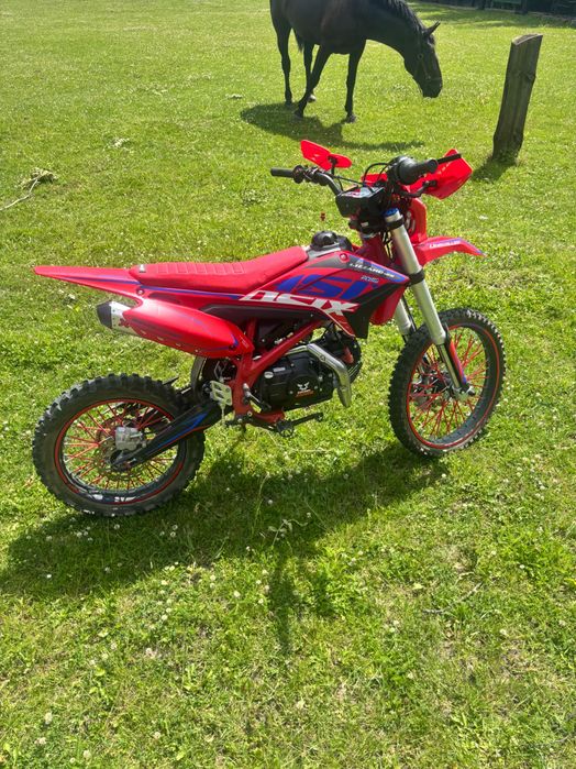 Motor cross Lizzard 125