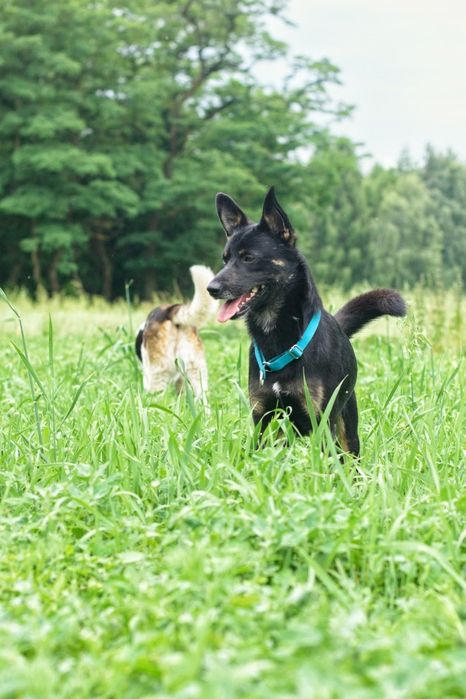 Luis szuka spokojnego domu