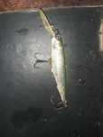 Amostra pesca.....