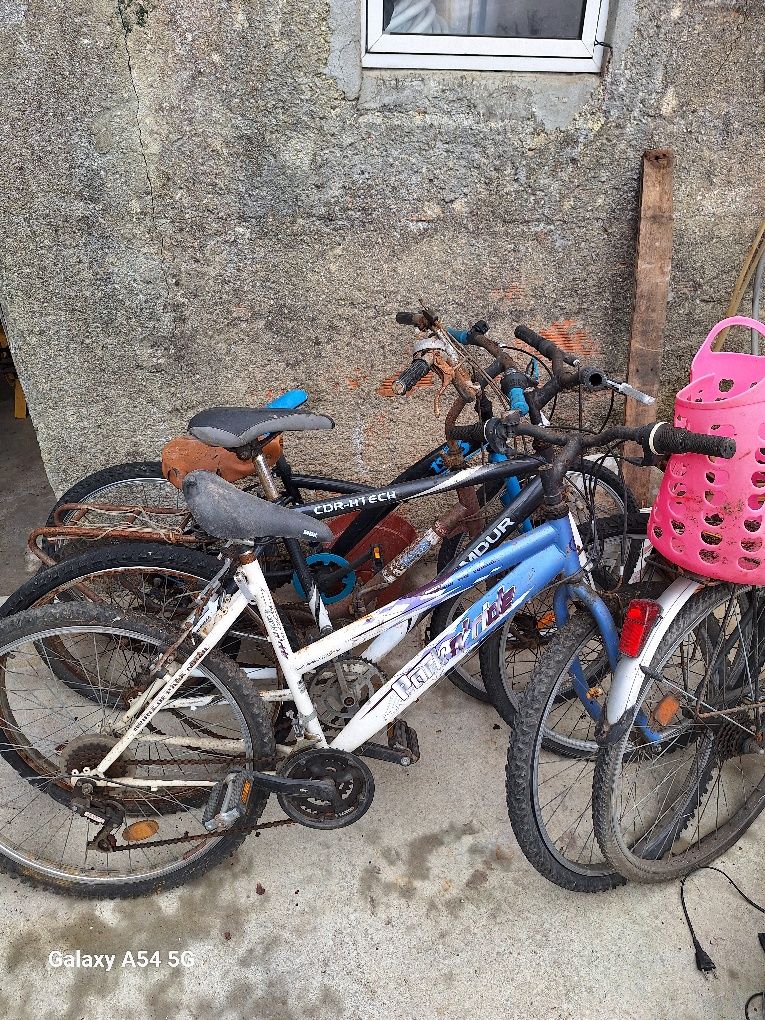 Lote de 6 bicicletas